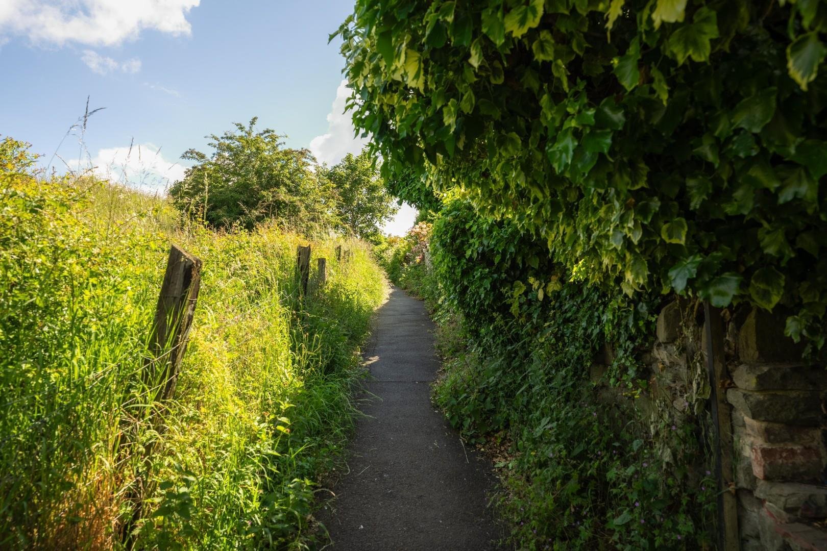 St werburghs park st werburghs 34719891 35
