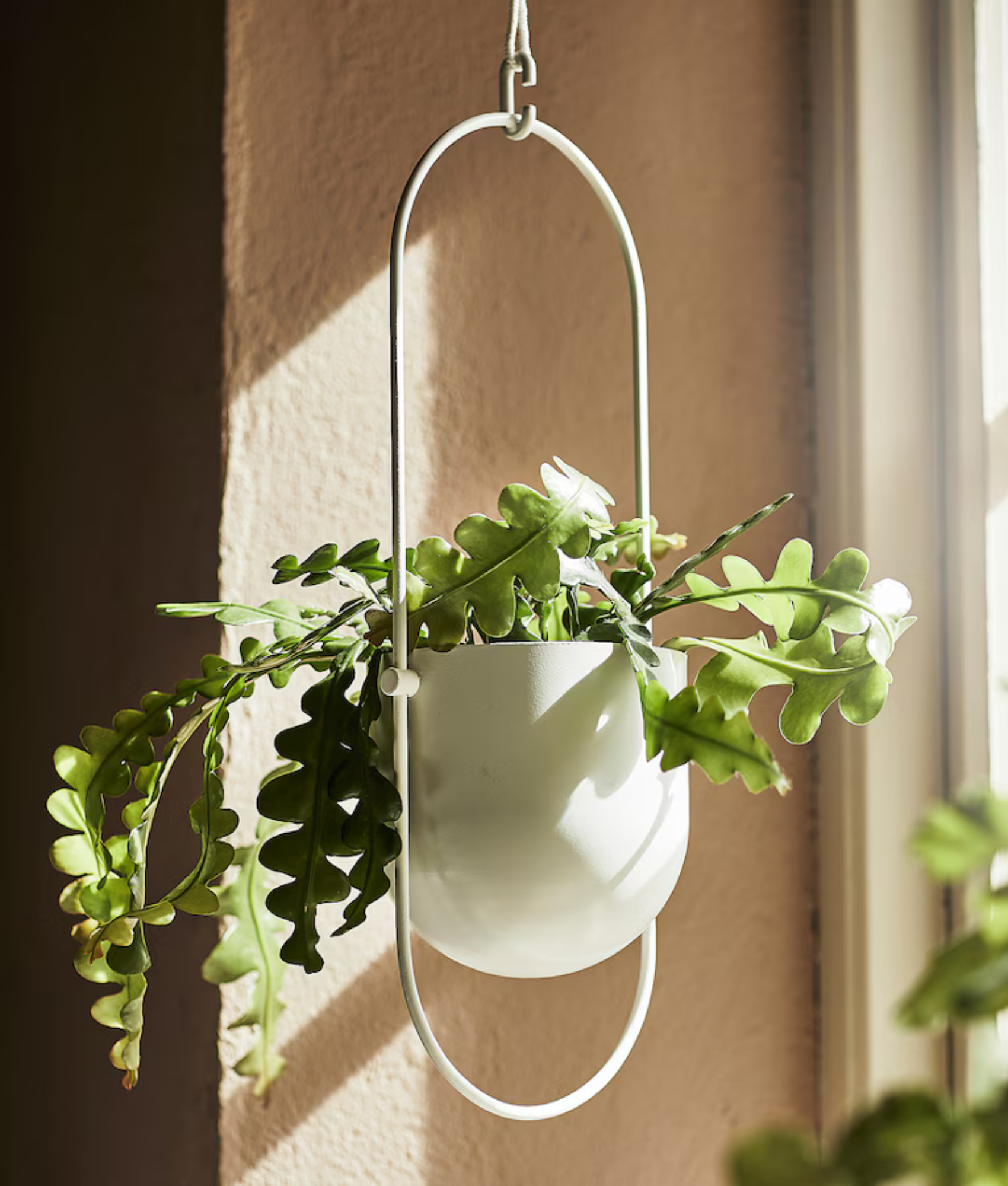 IKEA hanging planter